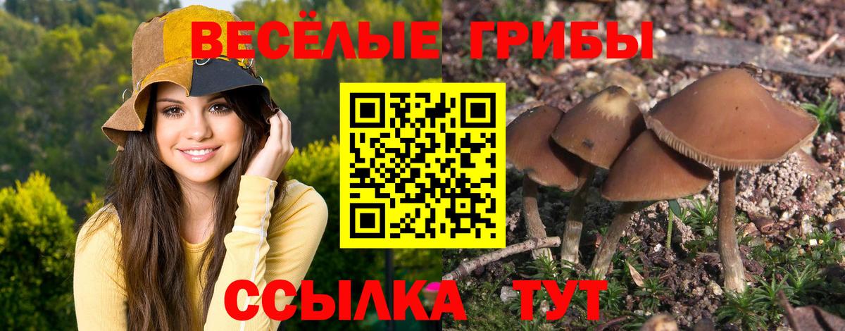Псилоцибиновые грибы мухоморы  Вход с VPN  Северодвинск 